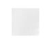 2 Ply 40cm Napkin White
