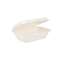 Bagasse Compostable Food Boxes 7x5 Inch White