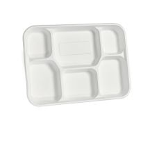 Compostable 6 compartment Bagasse Plate White
