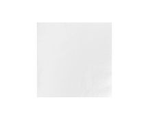 2 Ply 40cm Napkin White